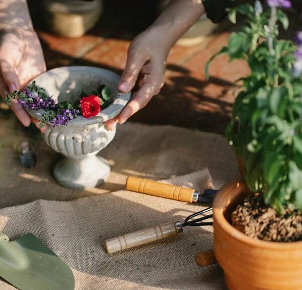 Optimize Your Growth 120999443 Digital Tools