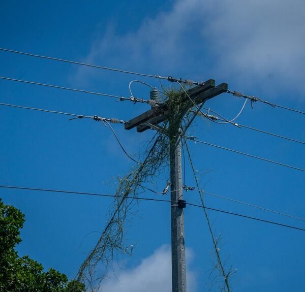 Smart Digital Infrastructure 651564315 for Growth