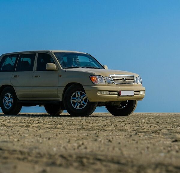 Reliable Online Platform 8009190509 for Stability